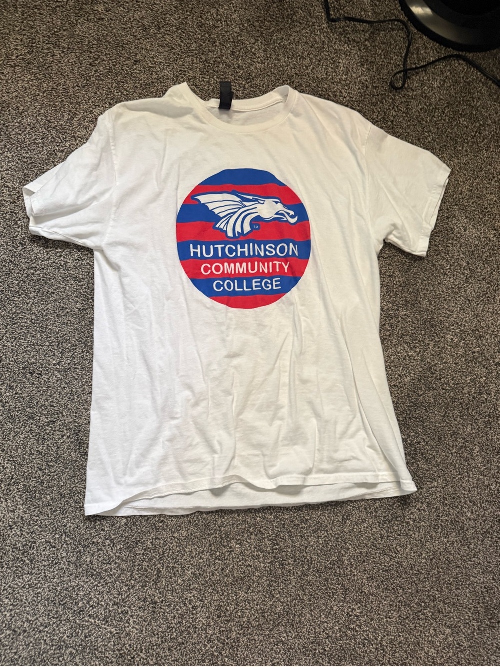Gildan White T-Shirt with Blue Graphic